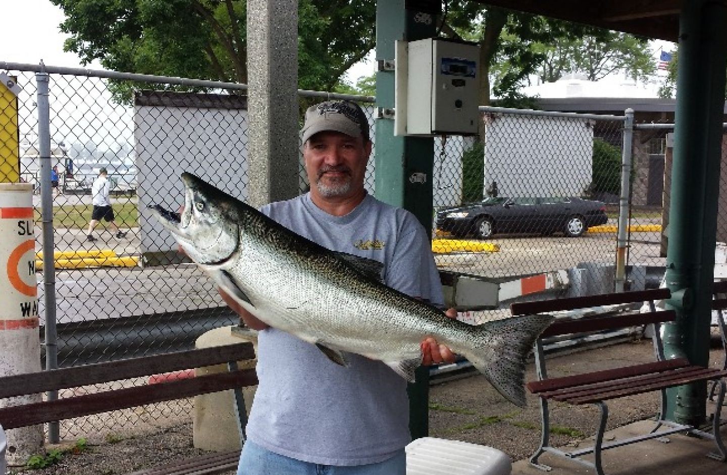 Chinook salmon caught while fishing in Milwaukee