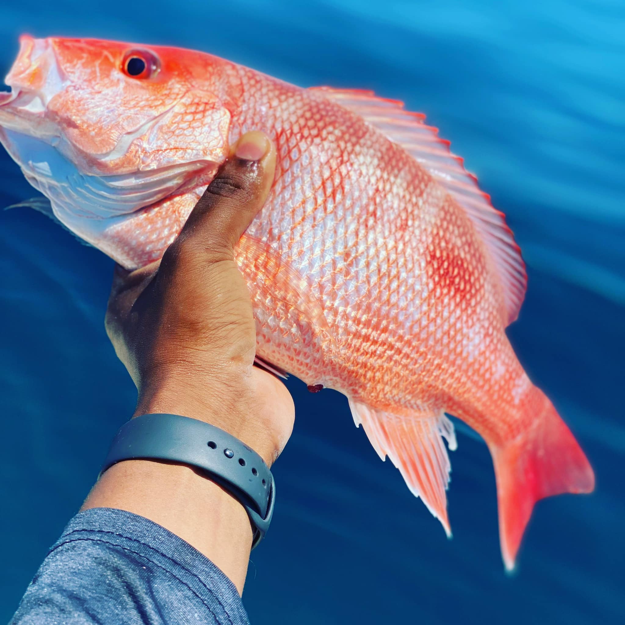 A fishing image from Charleston