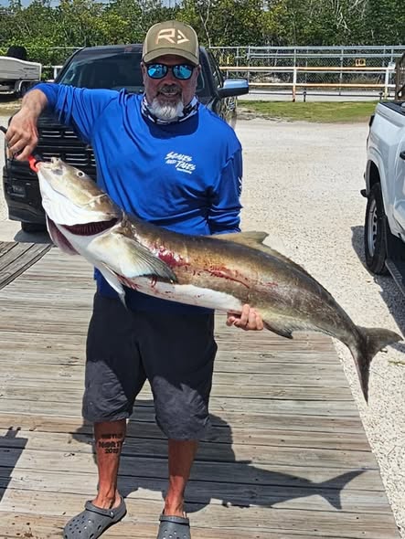 Large cobia caught fishing in Key Largo FL displayed on dock