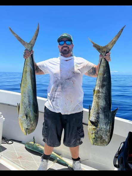 Two mahi mahi fish caught during deep sea fishing trip in Key Largo Florida