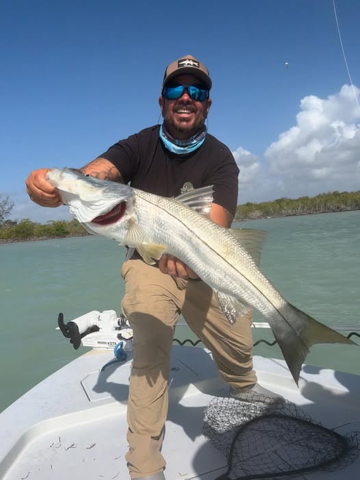Snook catch displayed on fishing boat in Key Largo FL waters