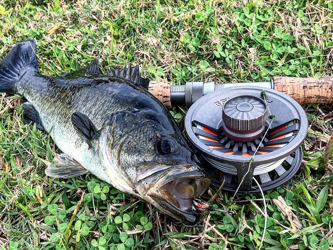 Fishing adventure in Florida