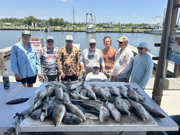 Large catch of fish displayed on cleaning table at Barataria LA marina with fishing boats in background