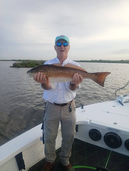 Redfish catch displayed on fishing boat in Barataria Louisiana