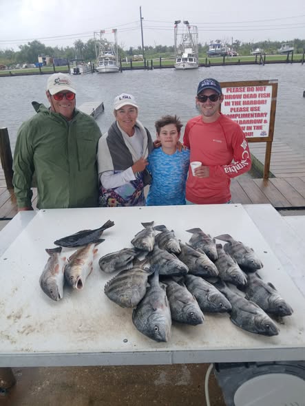 Fresh caught redfish and other species displayed on cleaning table at Barataria LA fishing dock