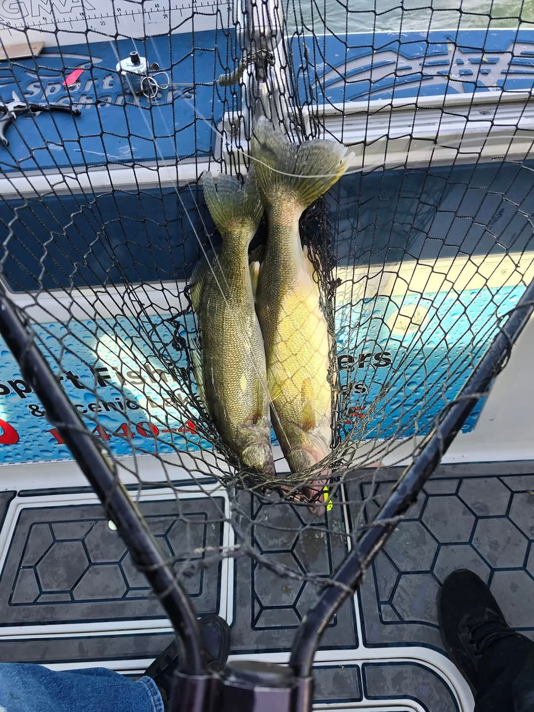 One fishing adventure in OH