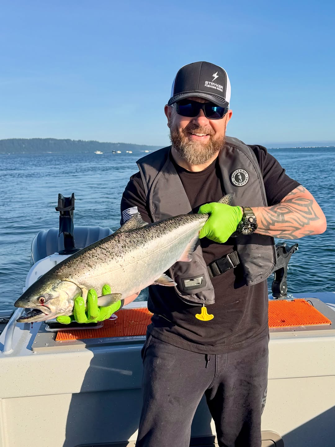 Chinook salmon catch displayed on fishing boat in Edmonds WA waters
