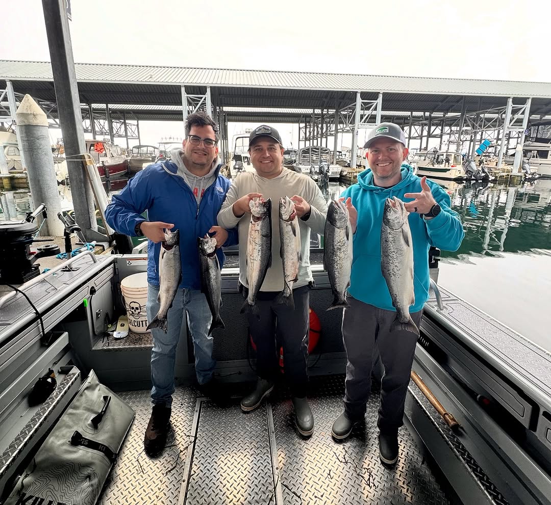 Successful coho salmon fishing trip at Edmonds WA marina with fresh catch