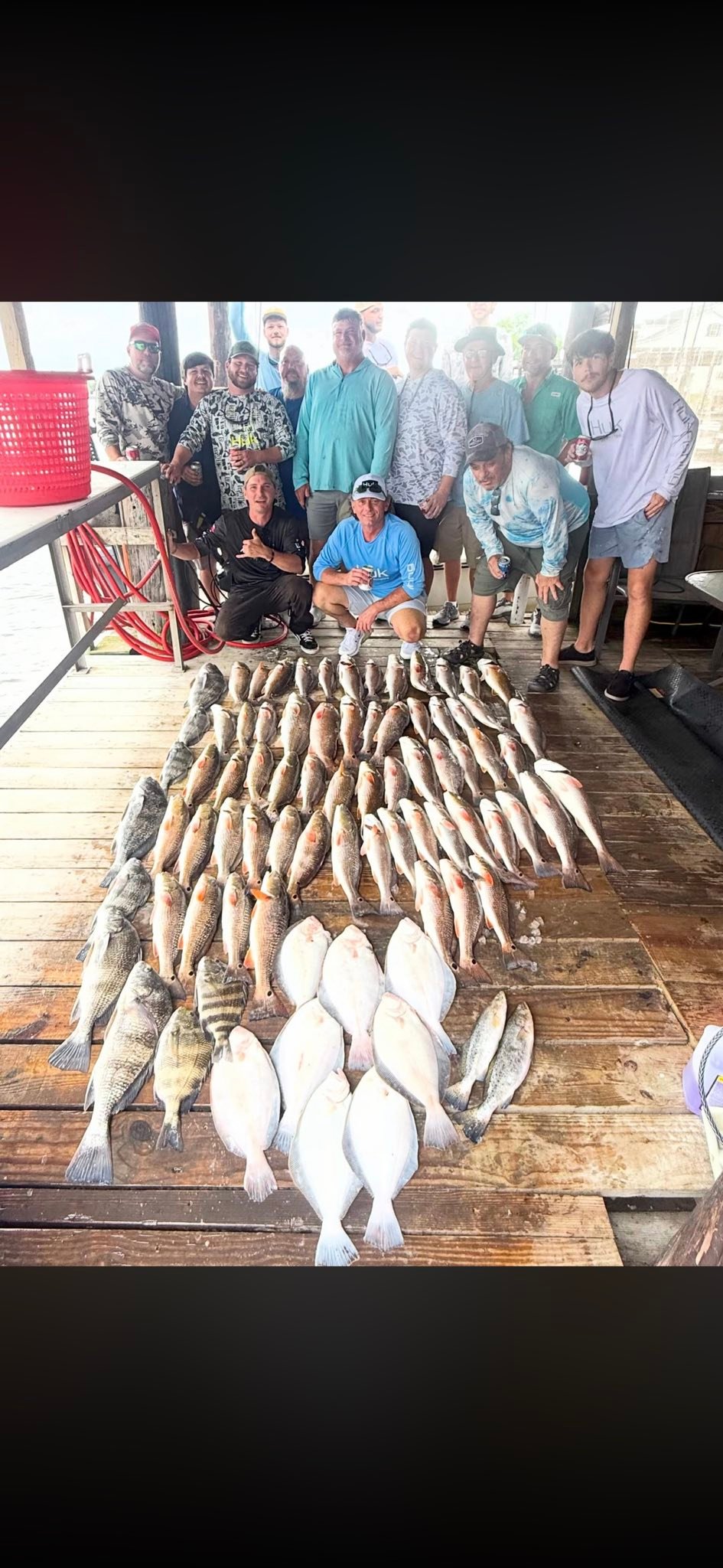 Large fishing catch of black drum and other fish displayed on wooden dock in Lafitte Louisiana