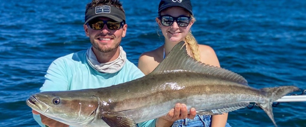 Cobia, a 34-inch fish, caught in Naples