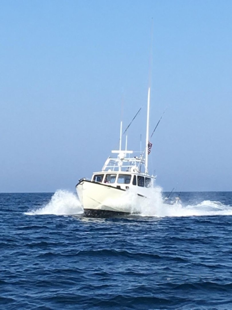 T. Jason (Downeast)