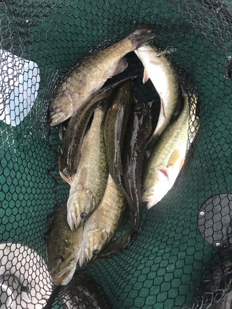 3 fishing in IN