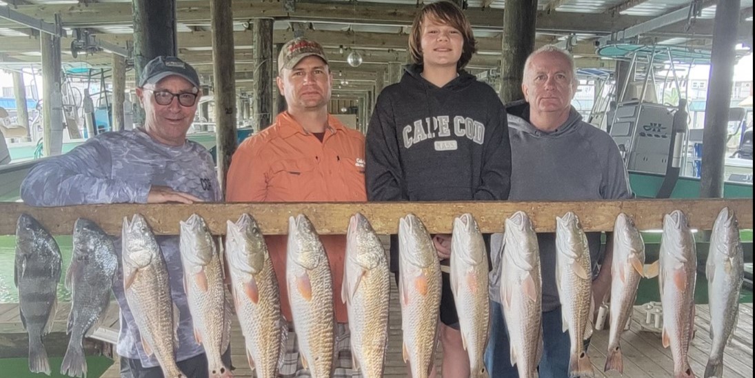 14 great barracuda fish caught in TX