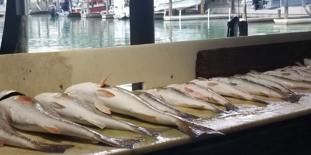 Great fishing trip in Port O'Connor