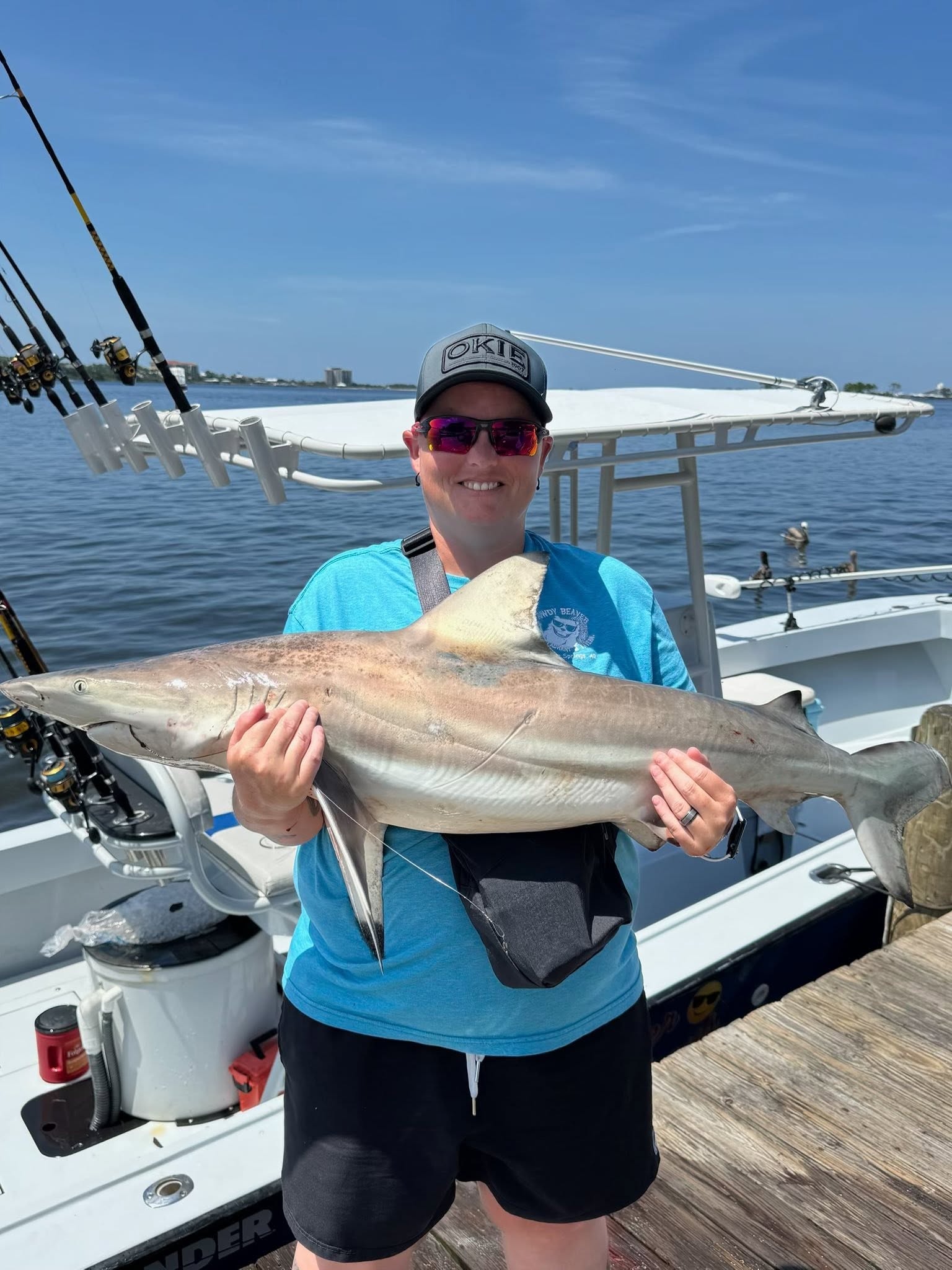 Blacktip shark caught during fishing trip in Pensacola FL waters