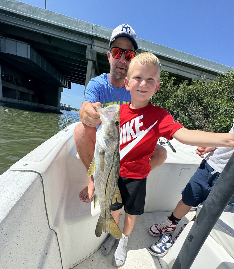 Snook caught while fishing in Indian Shores FL on boat near bridge