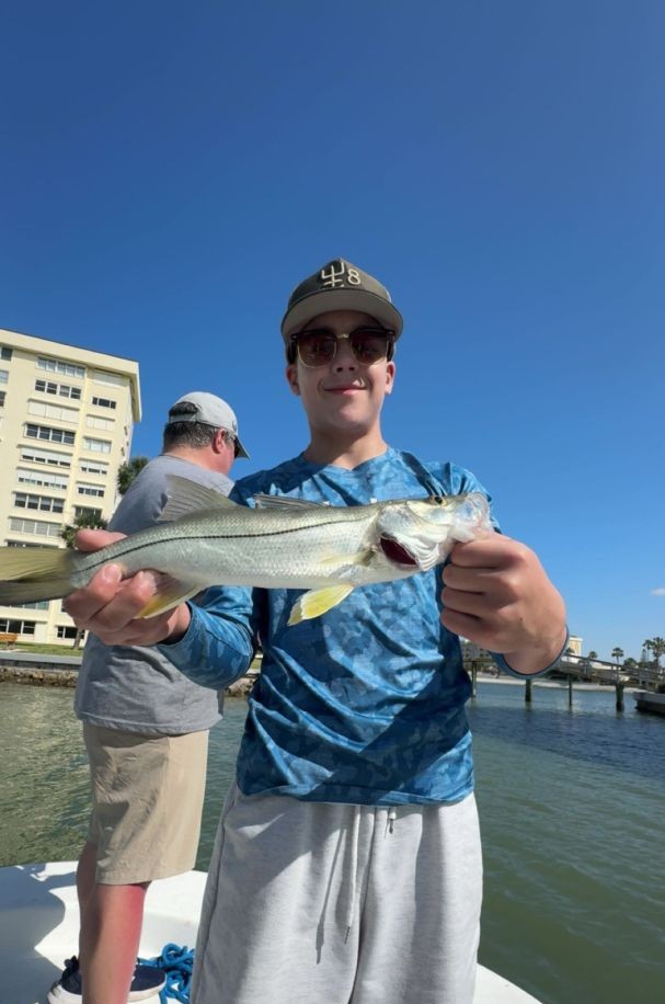 Snook caught while fishing in Indian Shores FL