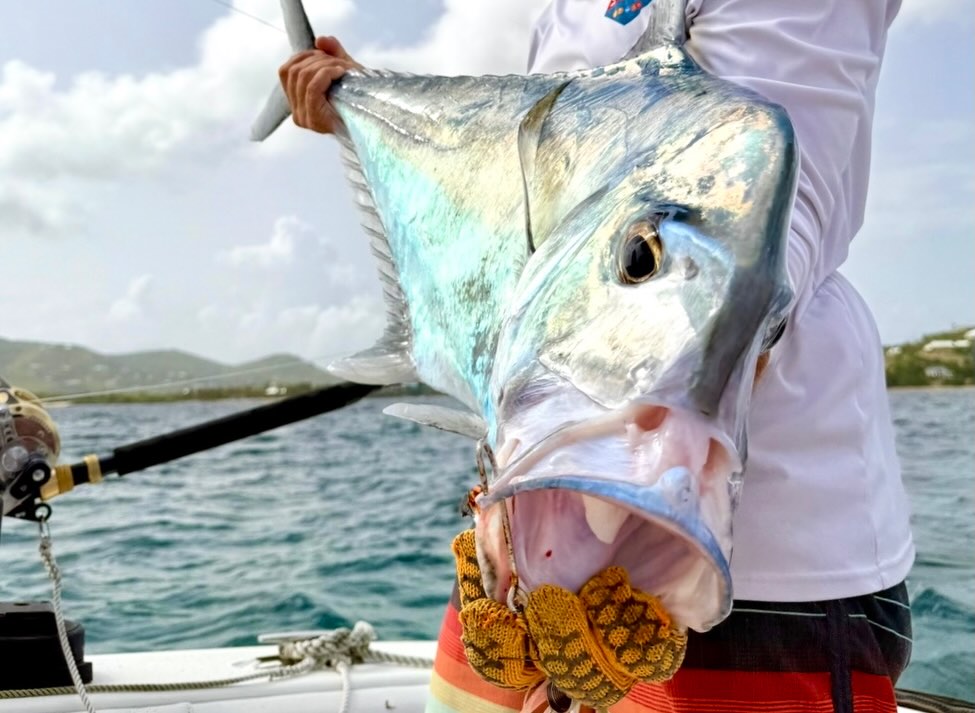 African Pompano caught while fishing in Christiansted St. Croix