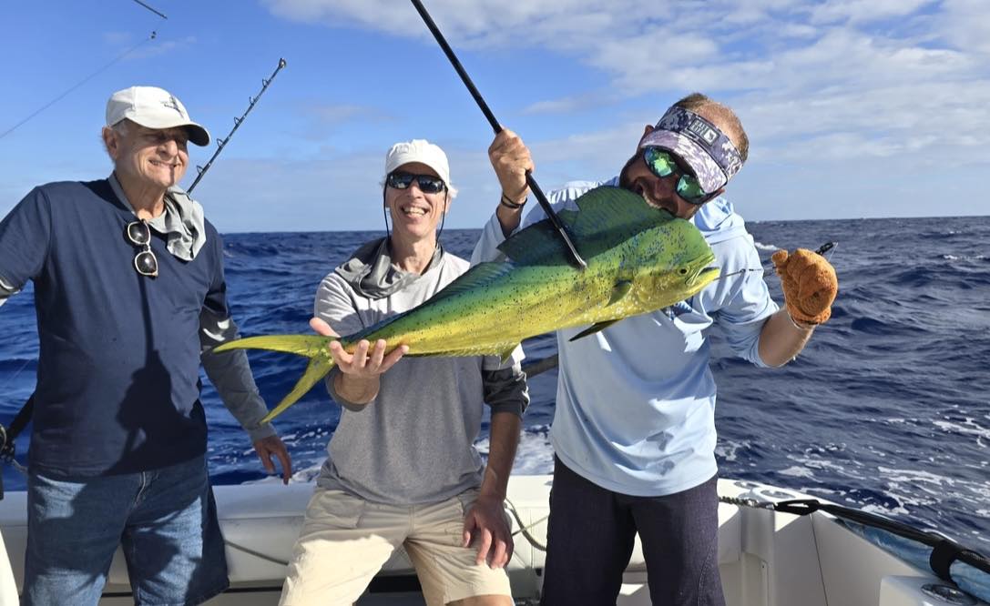 Freshly caught mahi mahi displayed on fishing boat in Christiansted St. Croix waters