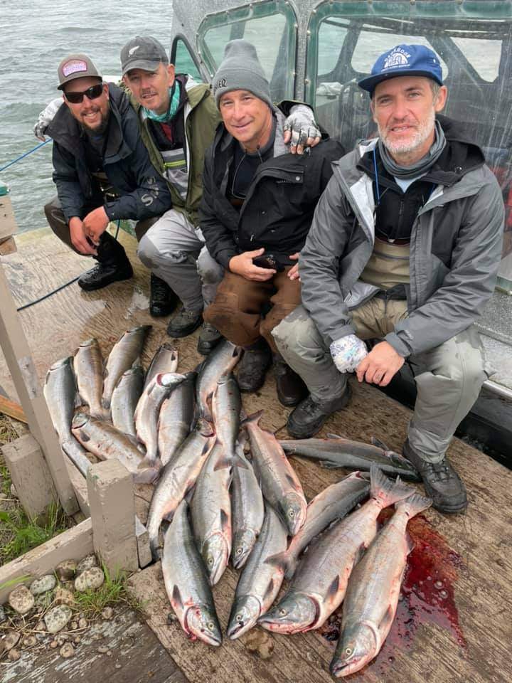 4 coho salmon caught while fishing in MI