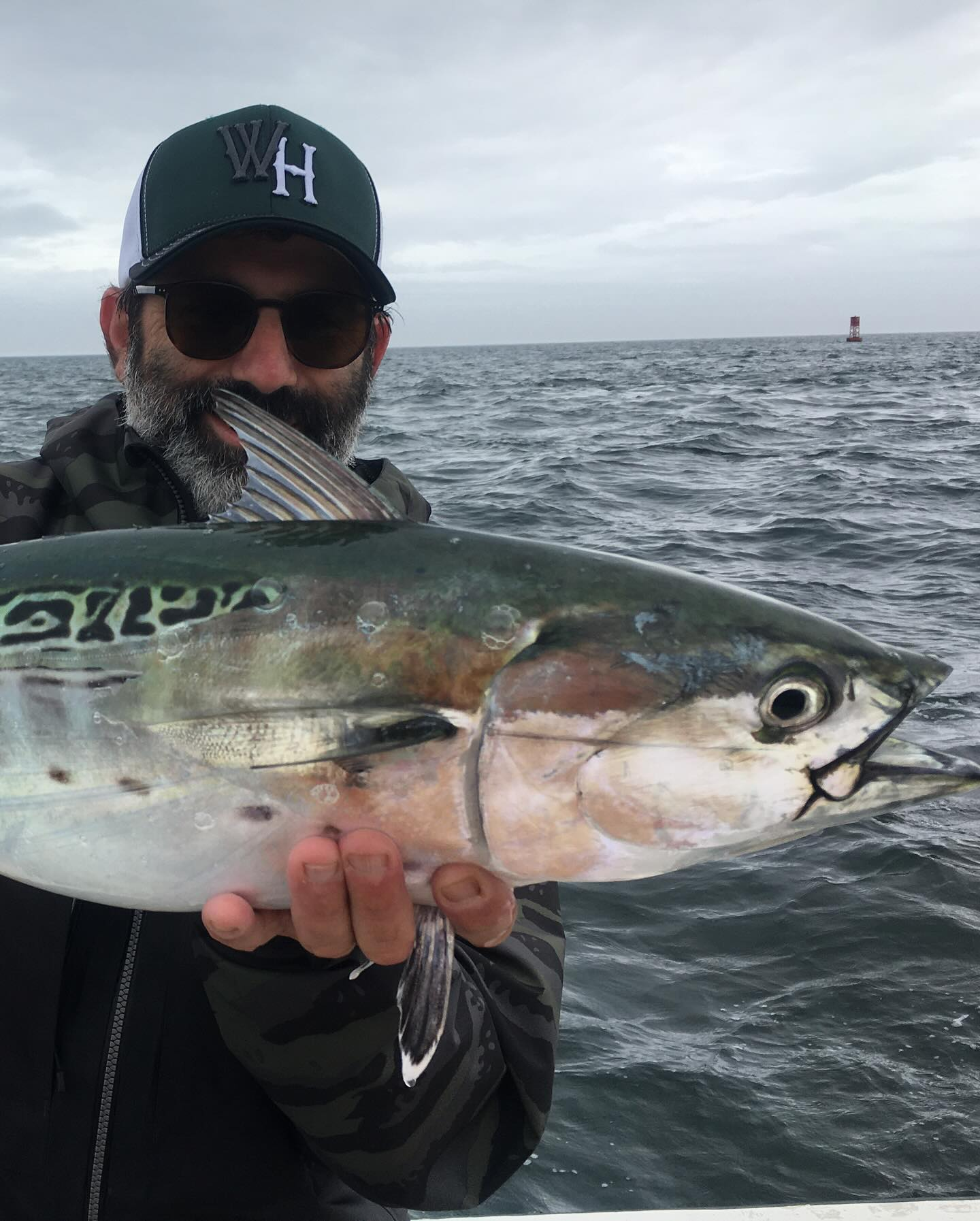 A photo of a Little Tunny fish caught while fishing in MA.