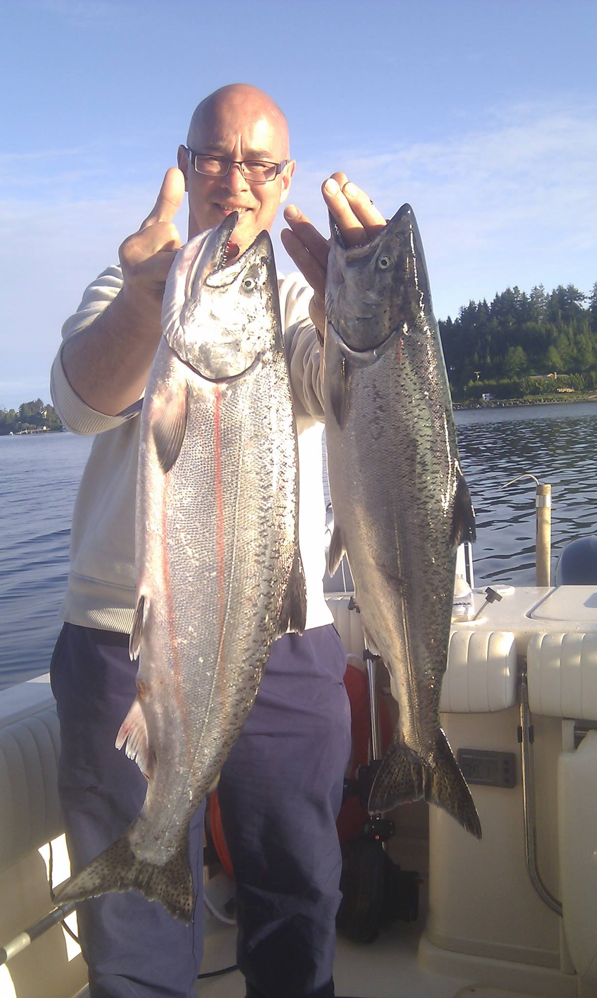 Two Chinook Salmon, the largest measuring 31 inches, caught while fishing in BC