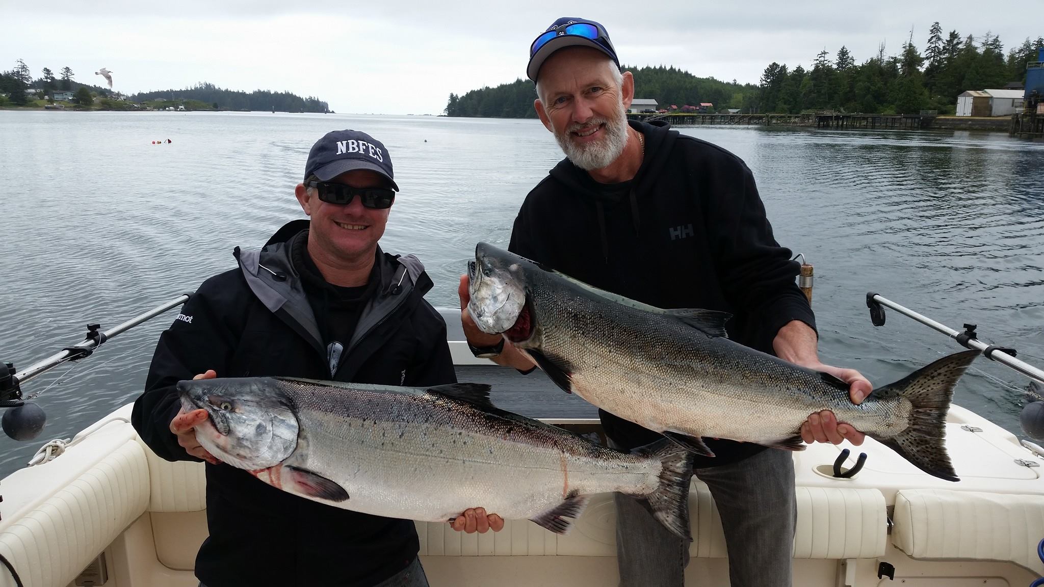 Two Chinook Salmon, each about 28 inches long, being held by two people in Ucluelet