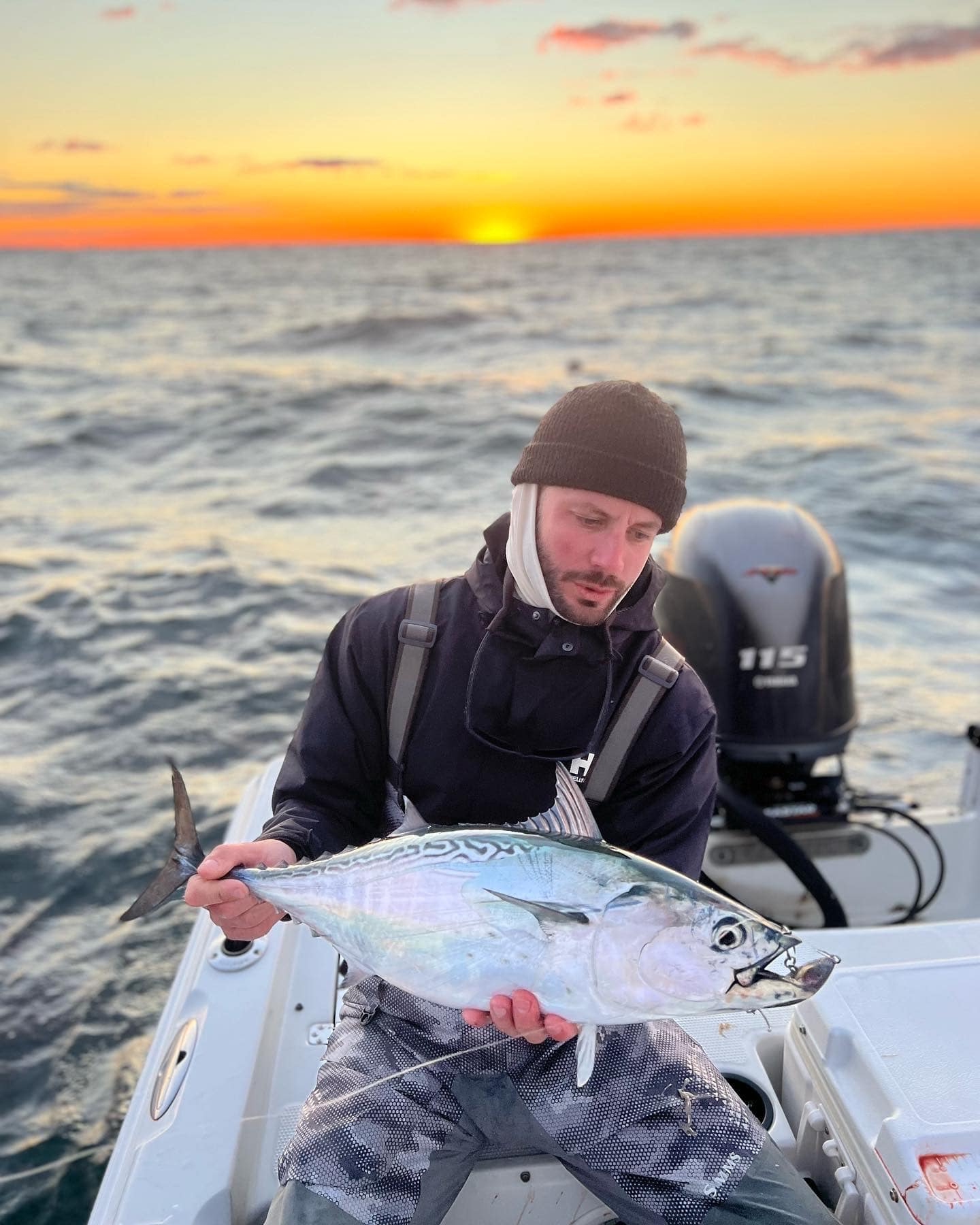A single little tunny fish caught while fishing in Fairfield