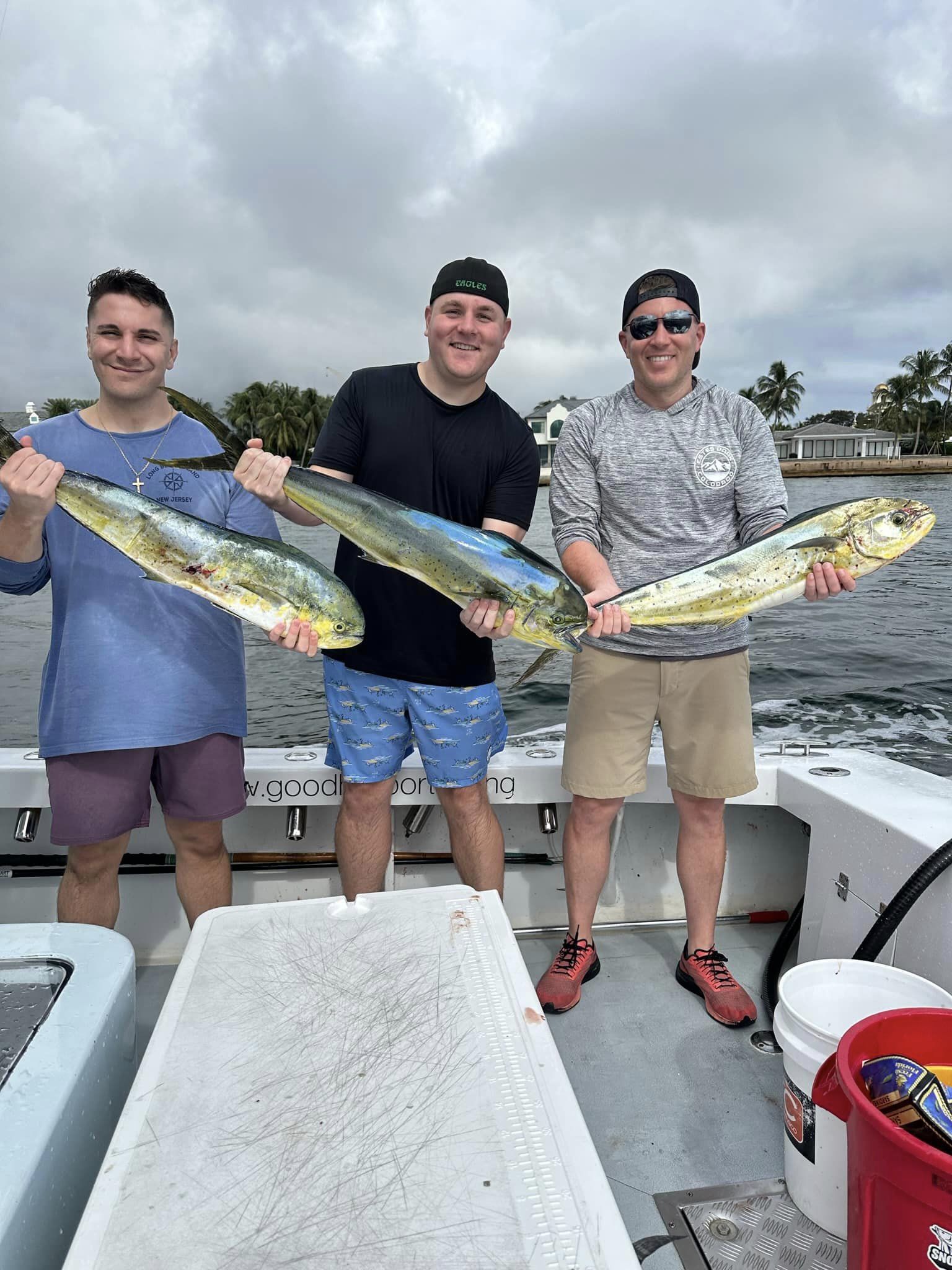 Three king mackerel fish caught in Fort Lauderdale