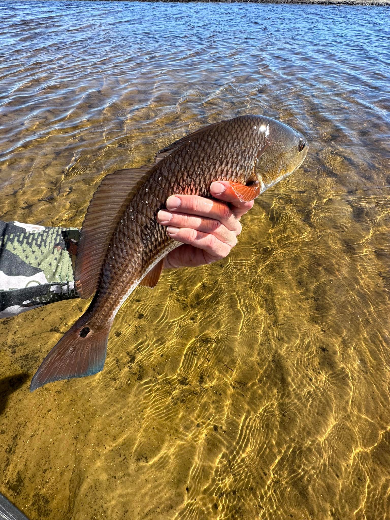 Fishing adventure in Florida