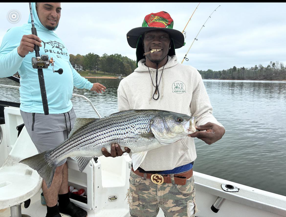 Striped bass caught fishing in Cumming GA on boat