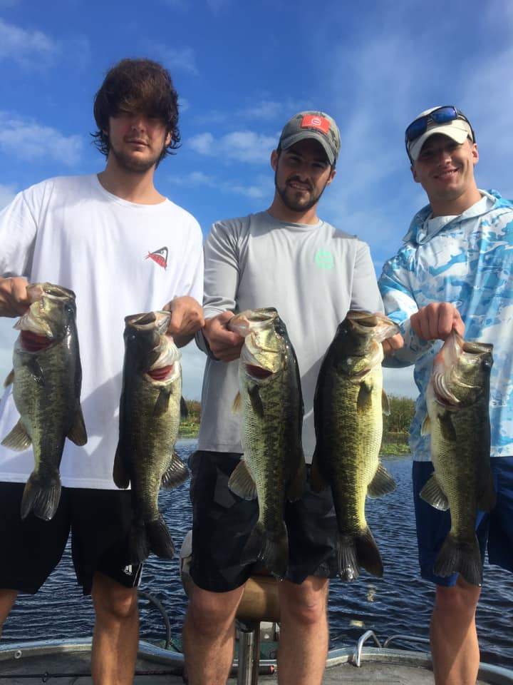 5 largemouth bass caught in FL