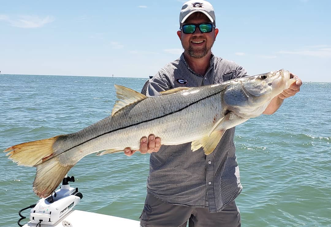 A single snook fish caught in FL