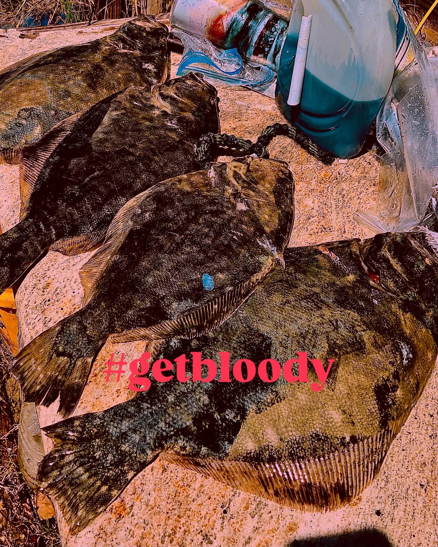 Fresh caught fish displayed on dock in Port Mansfield TX