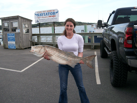 A lone fisherman reels in a 31-inch catch in MA