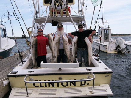 4 big fish caught by 2 people in MA