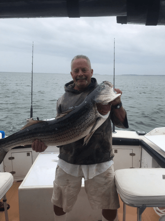 Lone angler fishing in MA