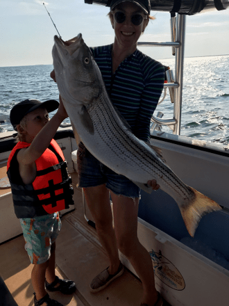 Striped bass caught by two anglers in Wellfleet