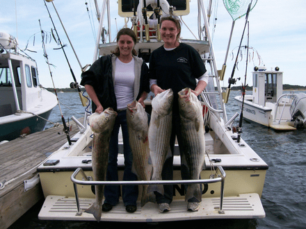 Four big fish caught in Wellfleet while fishing