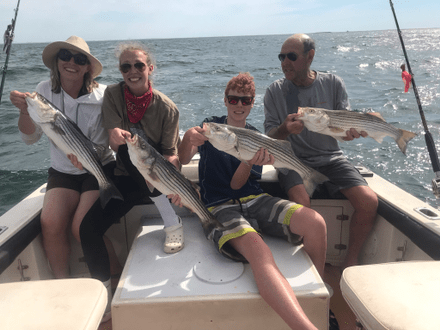 4 blasted fish caught in Wellfleet