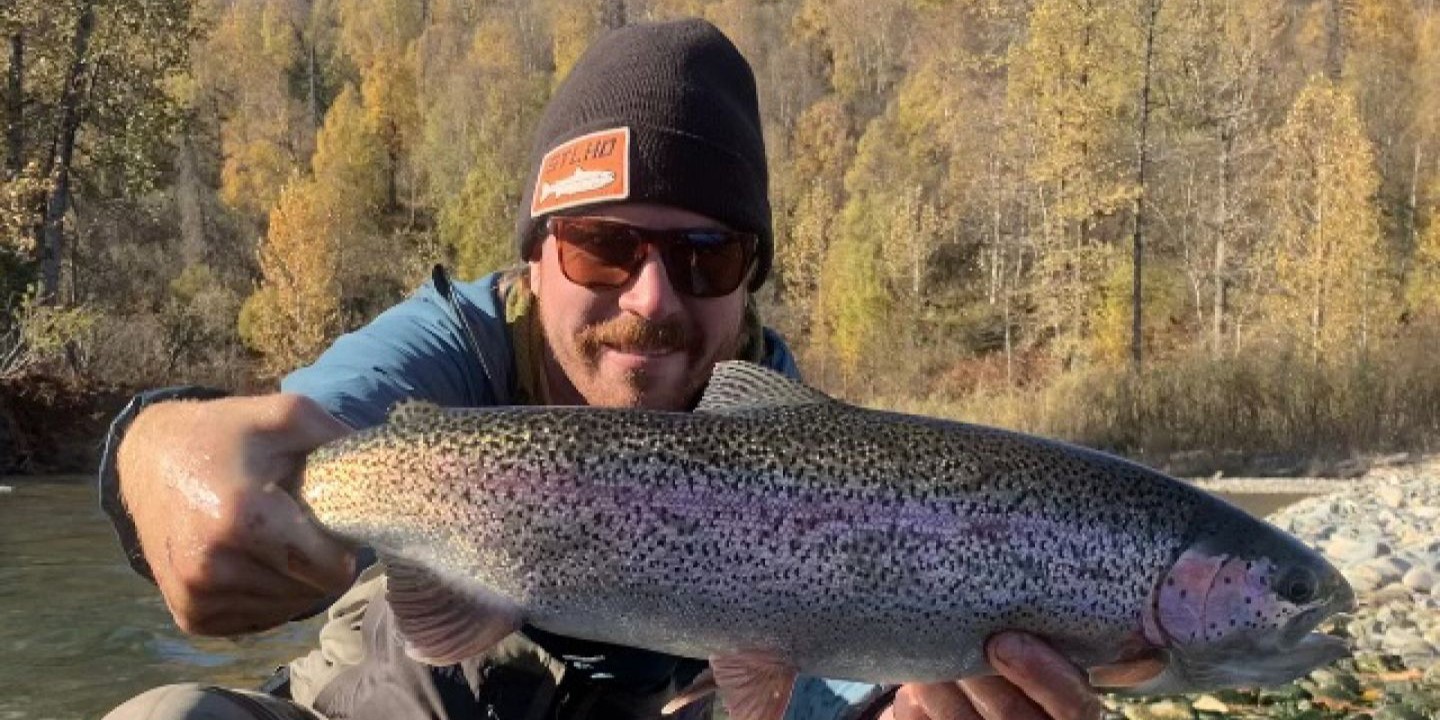 Angler with a rainbow trout catch in Willow