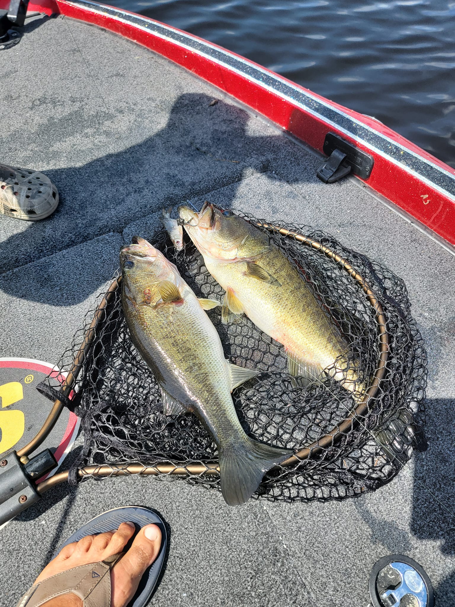 Two fishers enjoying a great catch in Fellsmere