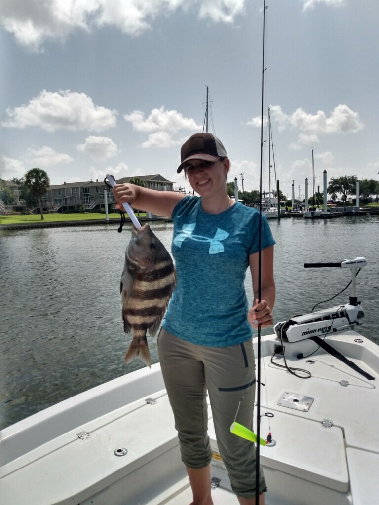 Sheepshead fish caught in TX