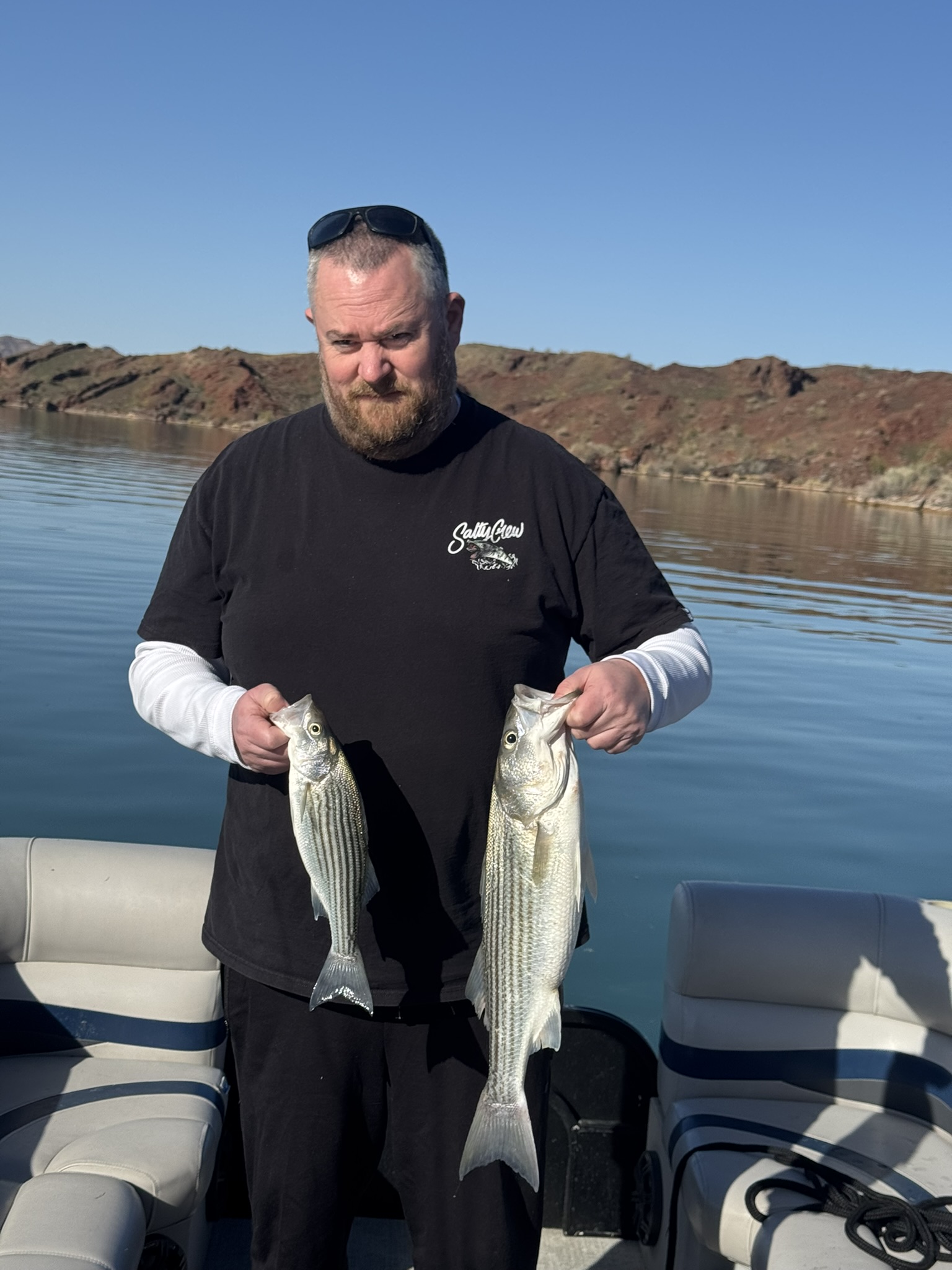 Two striped bass caught while fishing at Lake Havasu City