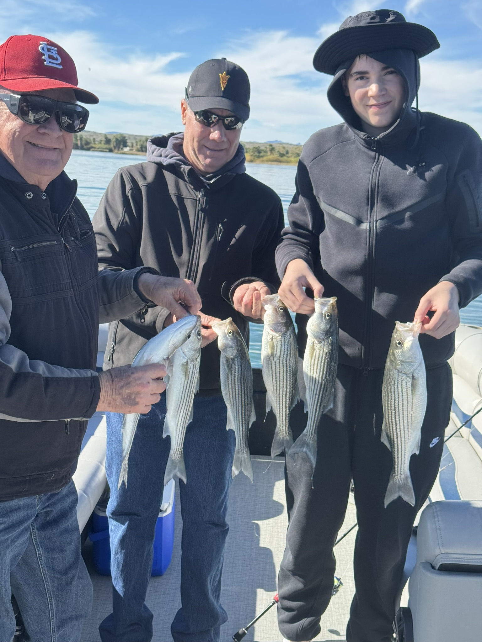 Four striped bass caught while fishing at Lake Havasu City