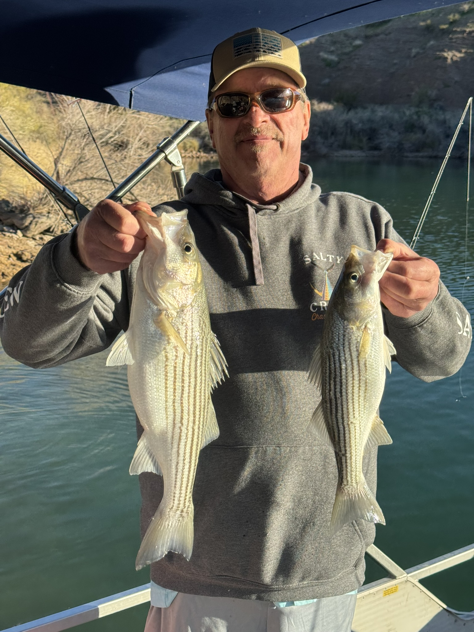 Two striped bass caught while fishing in Lake Havasu City