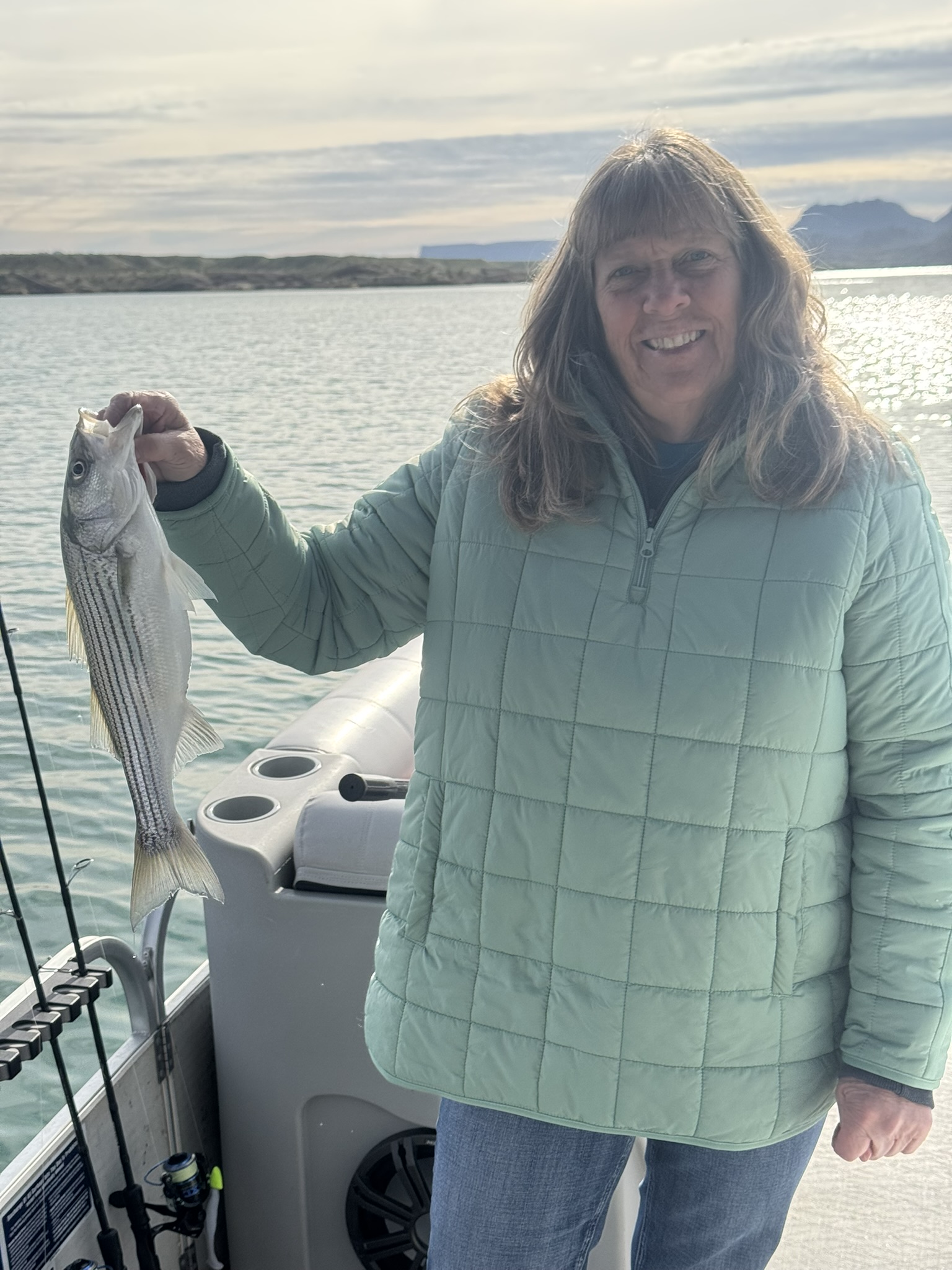 One striped bass caught while fishing in AZ
