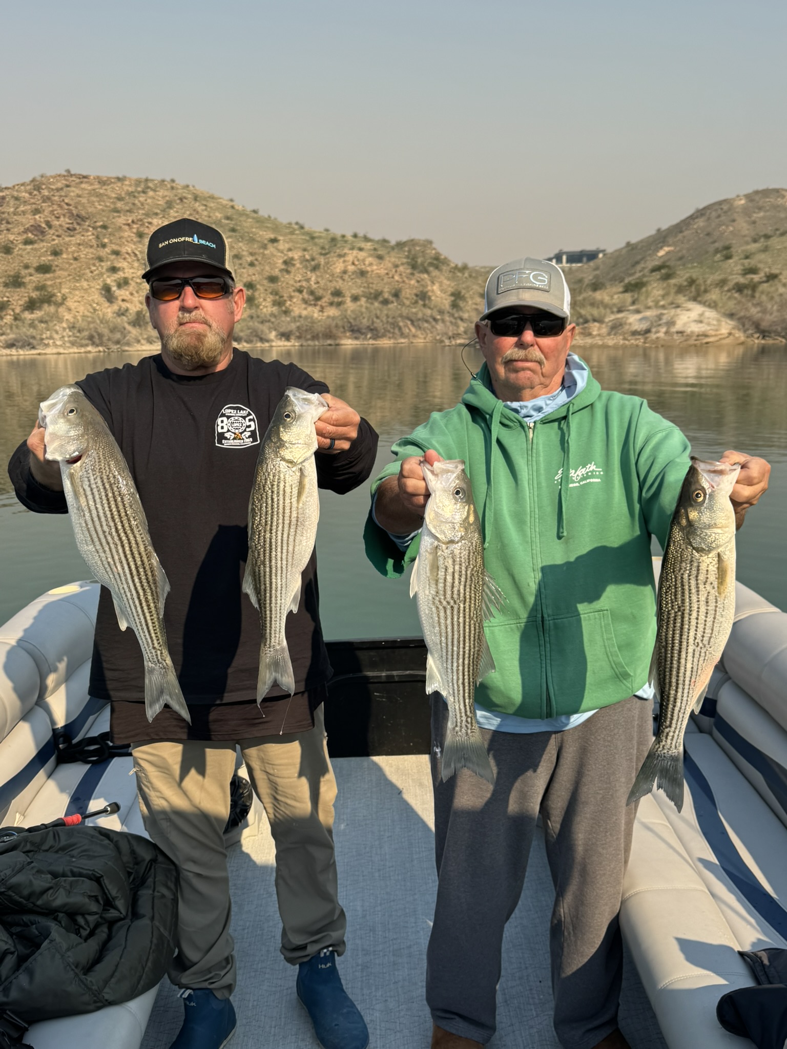 Four striped bass caught fishing at Lake Havasu City