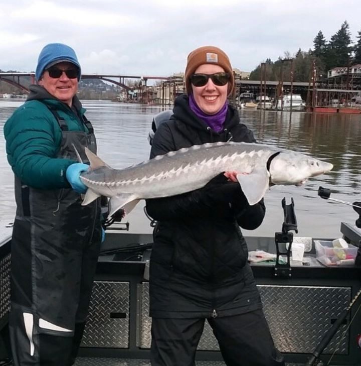 Catching a white sturgeon fish in OR