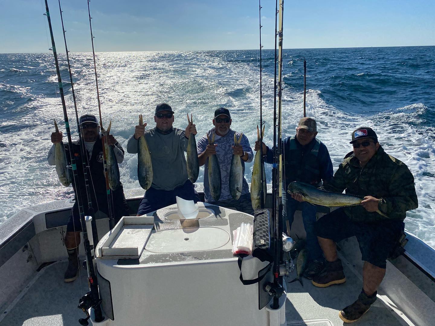 Four big fish caught while fishing in San Diego